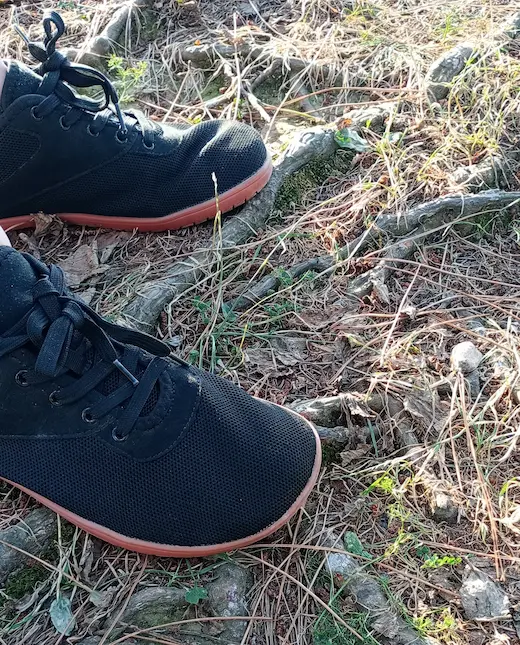 Spaziergang mit Temu Barfußschuhen auf Waldboden – natürliches Barfußgefühl